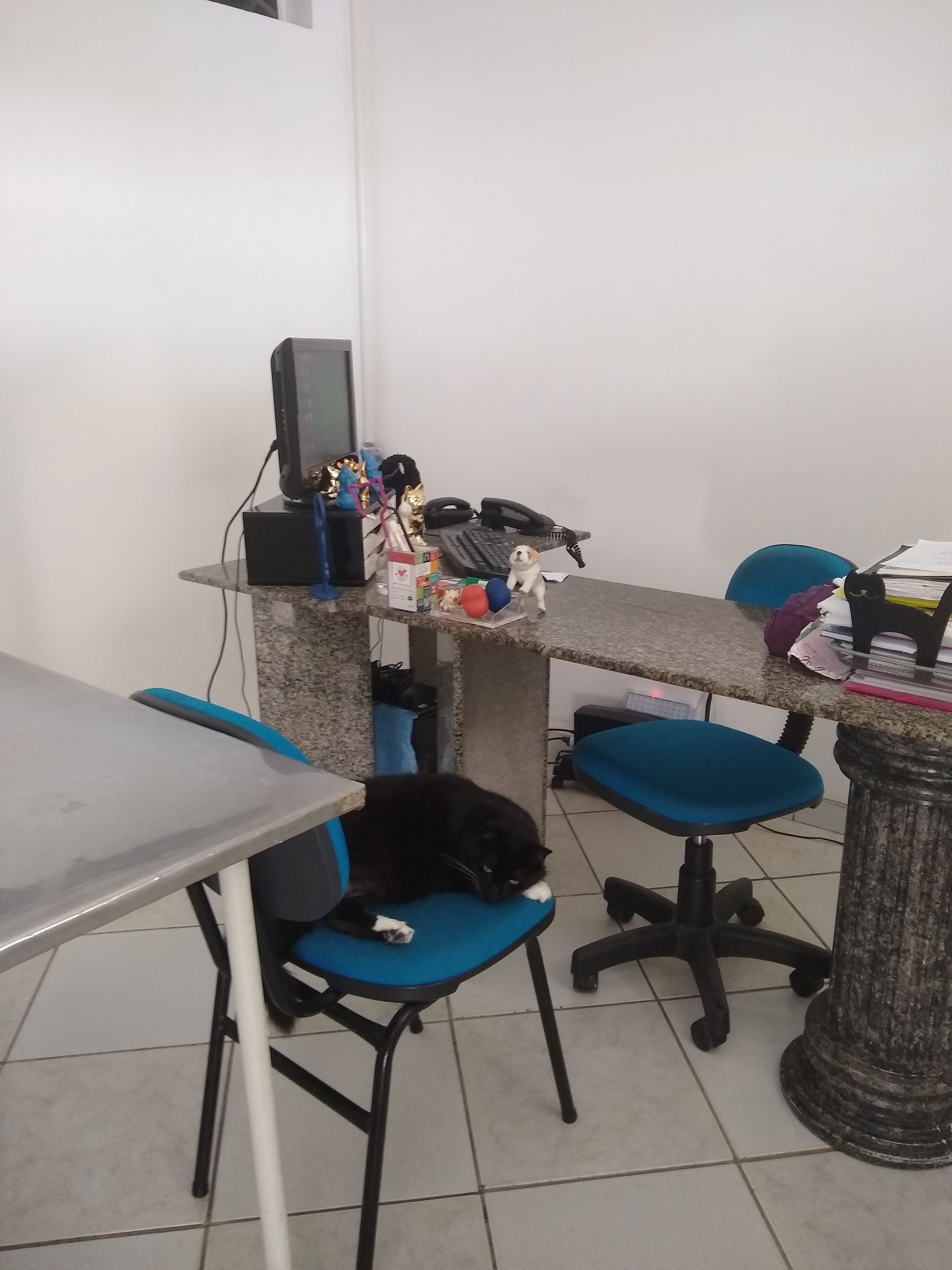 Galeria